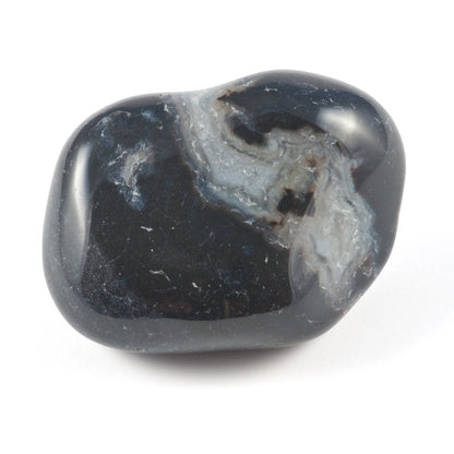 Sardonix Rolada — Disciplina, Coragem, Força