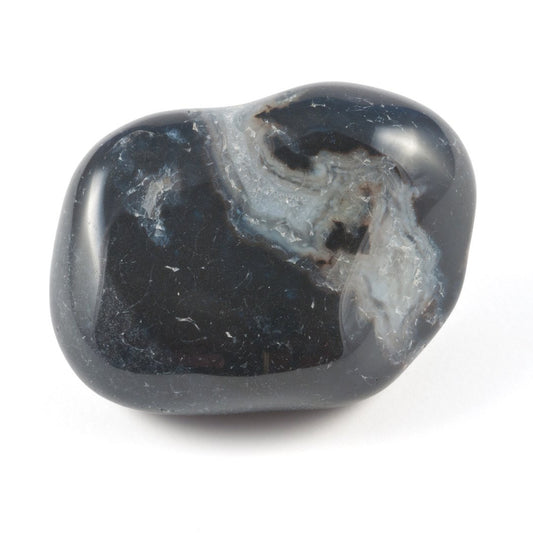 Sardonix Rolada — Disciplina, Coragem, Força